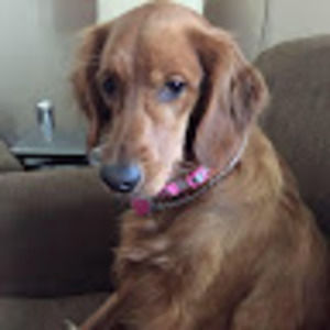 Meet your Posher, Lynn